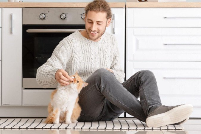 O uso de petiscos é uma das formas mais eficazes de ensinar o gato a vir quando chamado (Imagem: Pixel-Shot | Shutterstock) - (crédito: EdiCase) O uso de petiscos é uma das formas mais eficazes de ensinar o gato a vir quando chamado (Imagem: Pixel-Shot | Shutterstock) - (crédito: EdiCase)