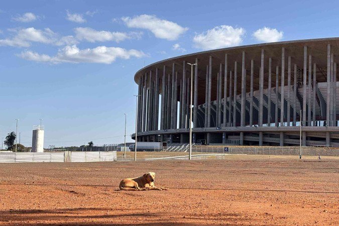Cachorros atacam pessoas no DF