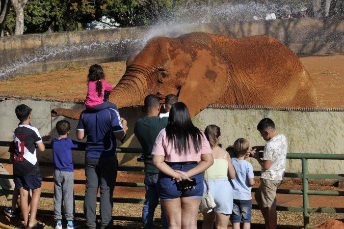 Nonato (camisa azul) e família foram conferir as atrações -  (crédito: Minervino Júnior/CB/D.A.Press)