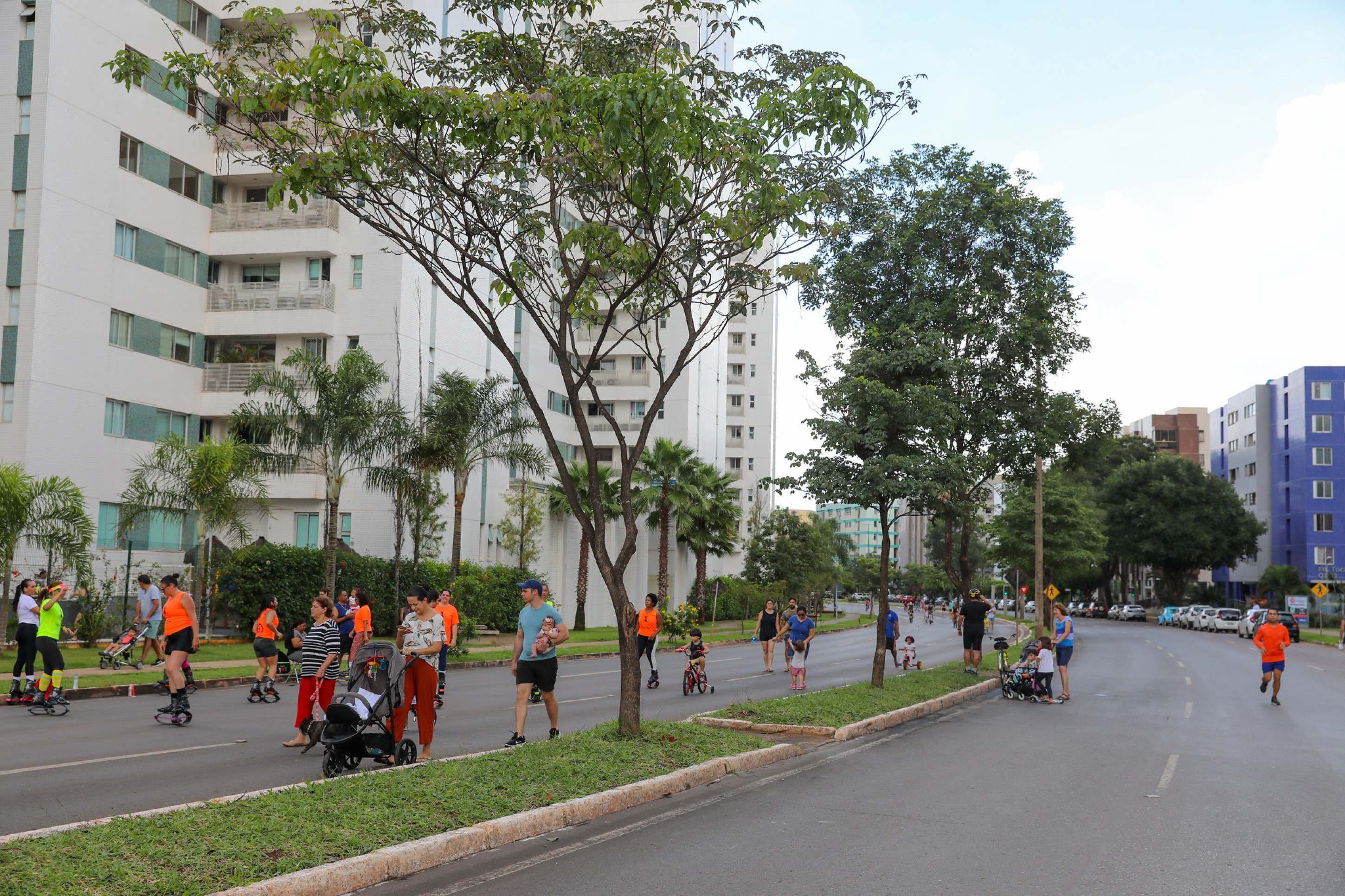 Quatro RAs do DF têm desempenho excelente em sustentabilidade