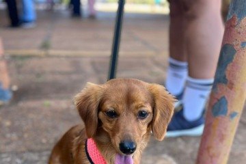 Mel tem plano de saúde para evitar gastos imprevistos