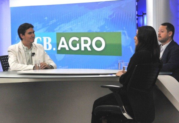 Marcelo Ferreira/CB/D.A Press