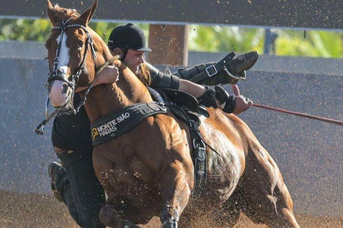 Monte Sião Haras -  (crédito: Monte Sião Haras)
