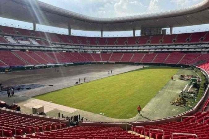 A grama é reconhecida por sua alta densidade, coloração vibrante, rápida recuperação e maior tolerância ao frio e à sombra -  (crédito: Foto: Divulgação)