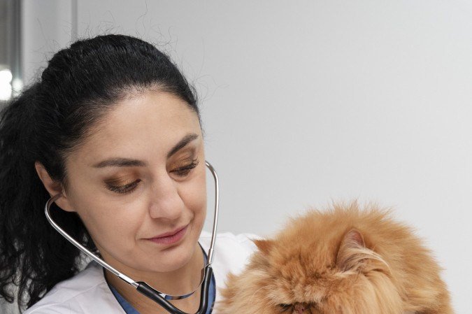 O serviço ajuda a levar os animais em mais consultas de rotina e prevenir doenças