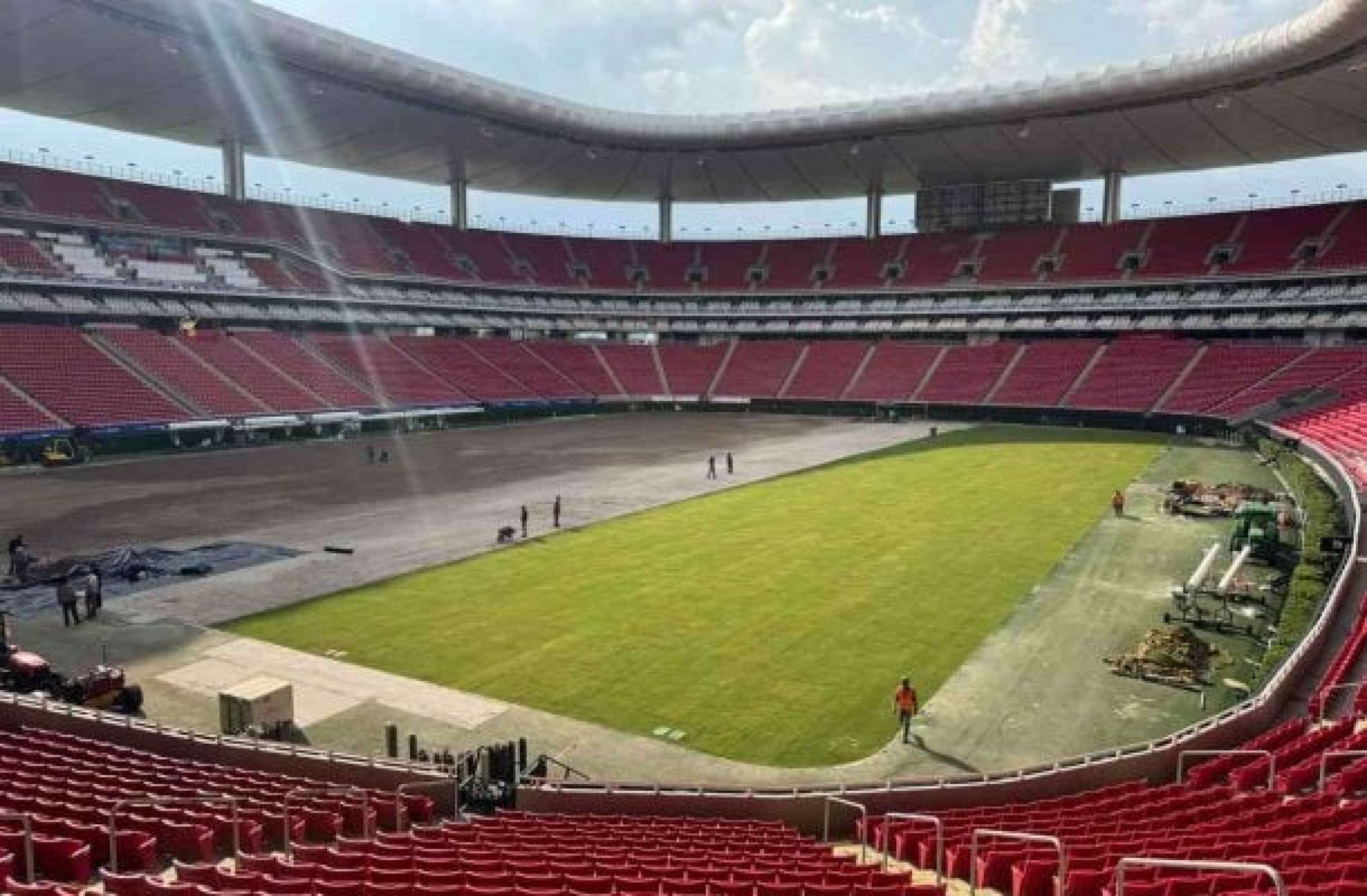 Brasil começa a cultivar grama que será usada na Copa do Mundo de 2026