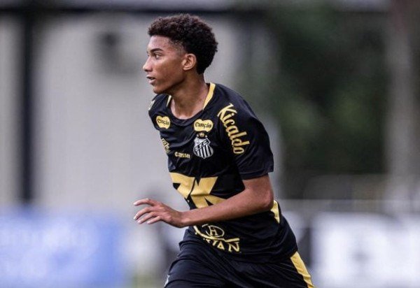 Foto: Raul Baretta/Santos FC