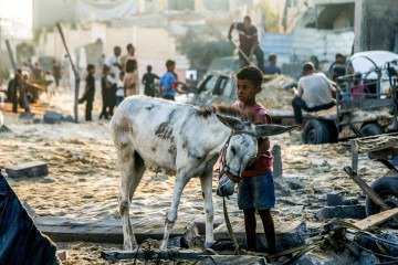 Garoto acaricia o pescoço de um burro em meio aos escombros em área atingida por ataque aéreo, na mesma cidade 
