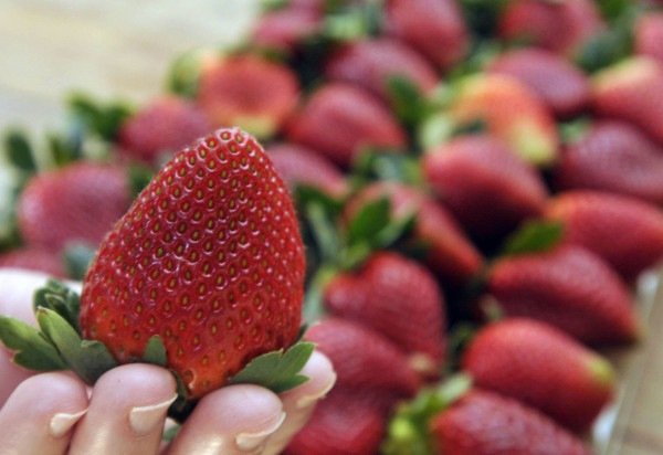 Minervino Júnior/CB/D.A.Press