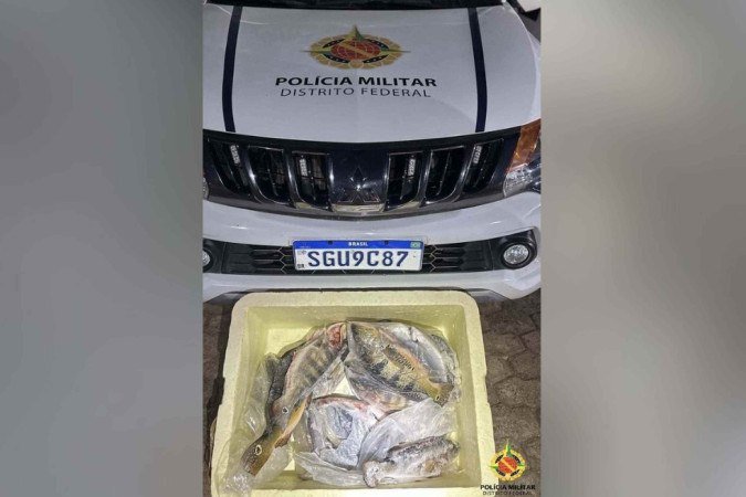 Homem é flagrado transportando ilegalmente peixes nativos na BR-080 -  (crédito: PMDF/Divulgação)