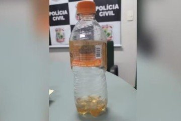 Homens morrem após ingerir veneno de lagarta -  (crédito: Reprodução)