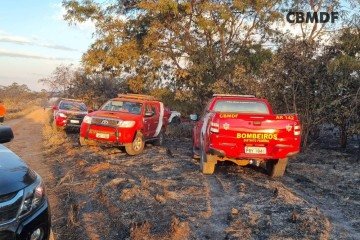 Incêndio em vegetação deixa dois mortos carbonizados no Residencial Tororó
 -  (crédito: CBMDF)