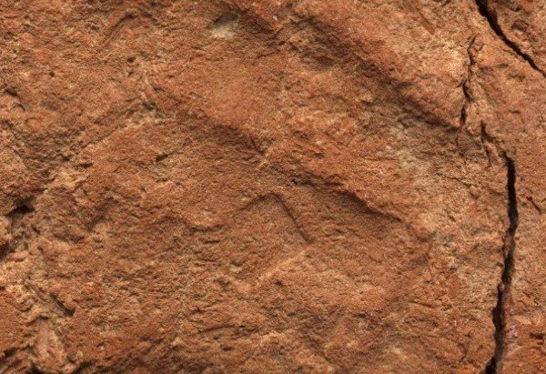 Michael Jones / Museu Fitzwilliam / Universidade de Cambridge