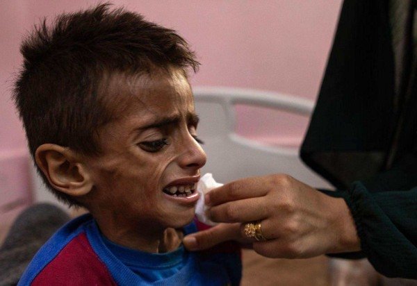 HAITHAM IMAD/EPA-EFE/Shutterstock