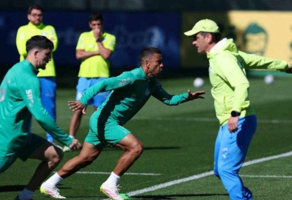 Foto: Cesar Greco/Palmeiras