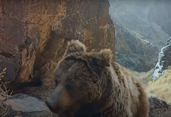 Reprodução/The wild ones/Apple TV+