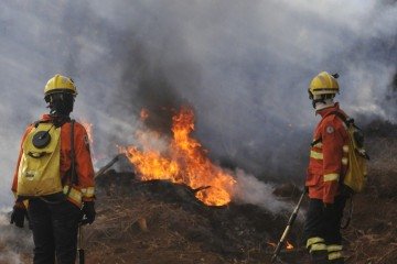Temporada de seca exige atenção redobrada em relação a incêndios. Na imagem, dois bombeiros combatem o fogo -  (crédito:  Minervino Júnior/CB)