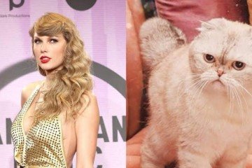 Gata de Taylor Swift acumula fortuna -  (crédito: Reprodução Instagram)