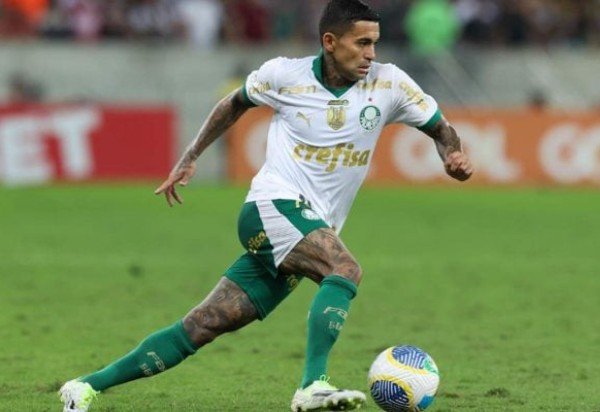 (Foto: Cesar Greco/Palmeiras)