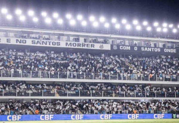 Foto: Raul Baretta/ Santos