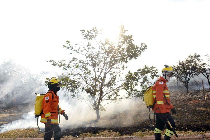 Este ano, foram registrados 29 mil focos de incêndio de janeiro a julho, enquanto em 2024, no mesmo período, o número foi de 58,4 mil -  (crédito: Minervino Júnior/CB/D.A.Press)