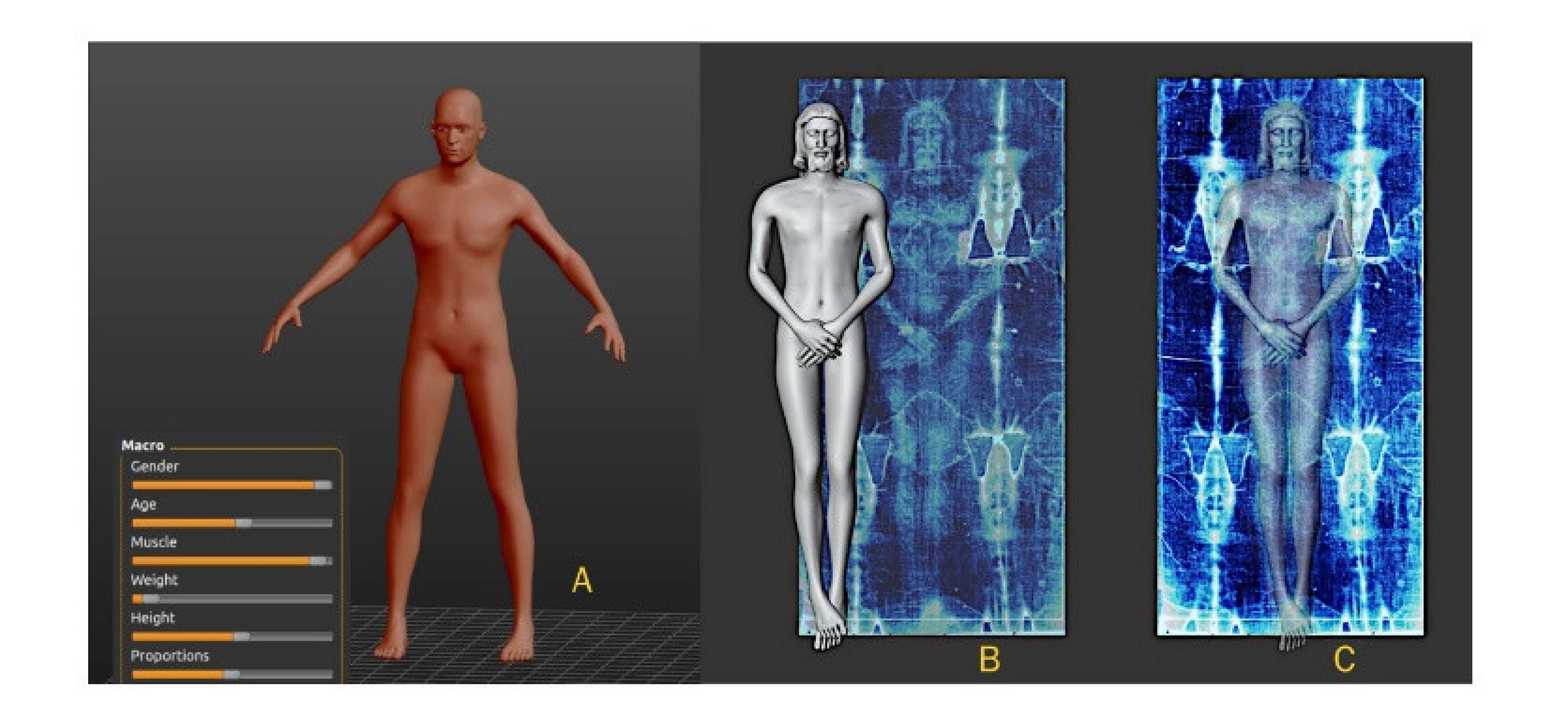 (A) Ajuste paramétrico de um corpo humano com base em dados do Sudário de Turim observados em 1987. (B,C) Modelo tridimensional ajustado à figura do Sudário, derivado de uma imagem disponível no Wikimedia Commons e editado no software GIMP para inverter a cor e aumentar o contraste.
