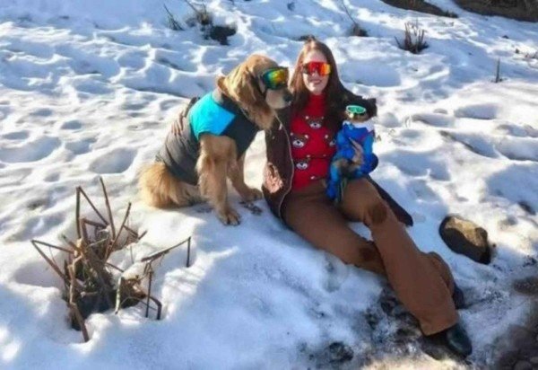 Reprodução/Instagram/@domgretriever