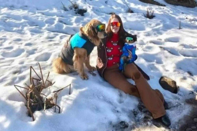 Labibi morreu em acidente de carro durante nevasca na Argentina - (crédito: Reprodução/Instagram/@domgretriever) Labibi morreu em acidente de carro durante nevasca na Argentina - (crédito: Reprodução/Instagram/@domgretriever)
