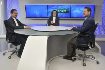 Omar Rocha: 'A cafeicultura vem tomando novos rumos no DF. Só é possível intervir e oferecer apoio quando se conhece a realidade' -  (crédito:  Marcelo Ferreira/CB/D.A Press)