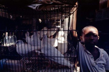 Foto de Miguel Rio Branco
 -  (crédito: Miguel Rio Branco)