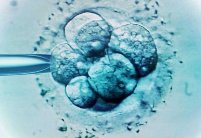 Bebê nascido de embrião congelado por 30 anos bate recorde: 'como filme de ficção científica' -  (crédito: BBC Geral)