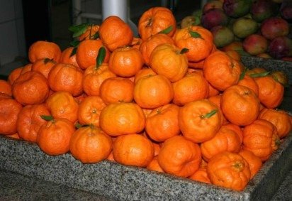 A tangerina pode ser chamada por diversos nomes dependendo da região no Brasil -  (crédito: Reprodu&ccedil;&atilde;o) -A tangerina pode ser chamada por diversos nomes dependendo da região no Brasil -  (crédito: Reprodu&ccedil;&atilde;o)