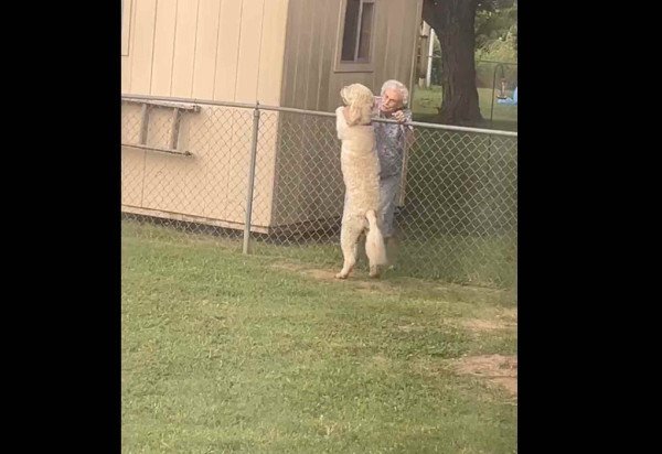 Reprodução/X/@zamenza