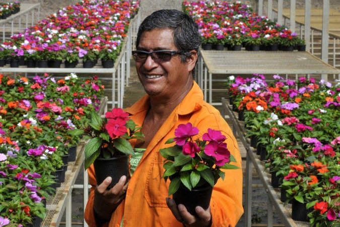Reinaldo cultiva um amor pelas plantas desde criança -  (crédito:  Marcelo Ferreira/CB/D.A Press)