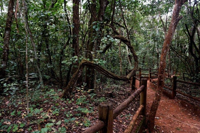 Foto de Bruo SIlva, do CESAS para exposição