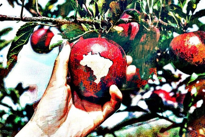 PRI-0308-OPINI -  (crédito: Maurenilson Freire)