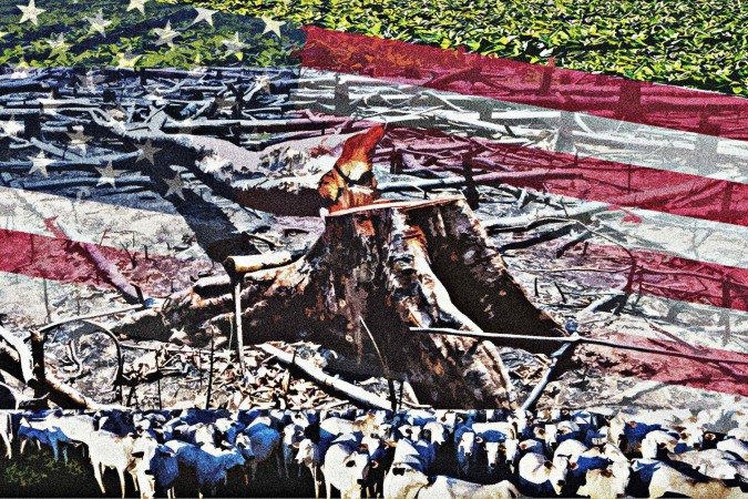 PRI-0408-OPINI -  (crédito: Maurenilson Freire)