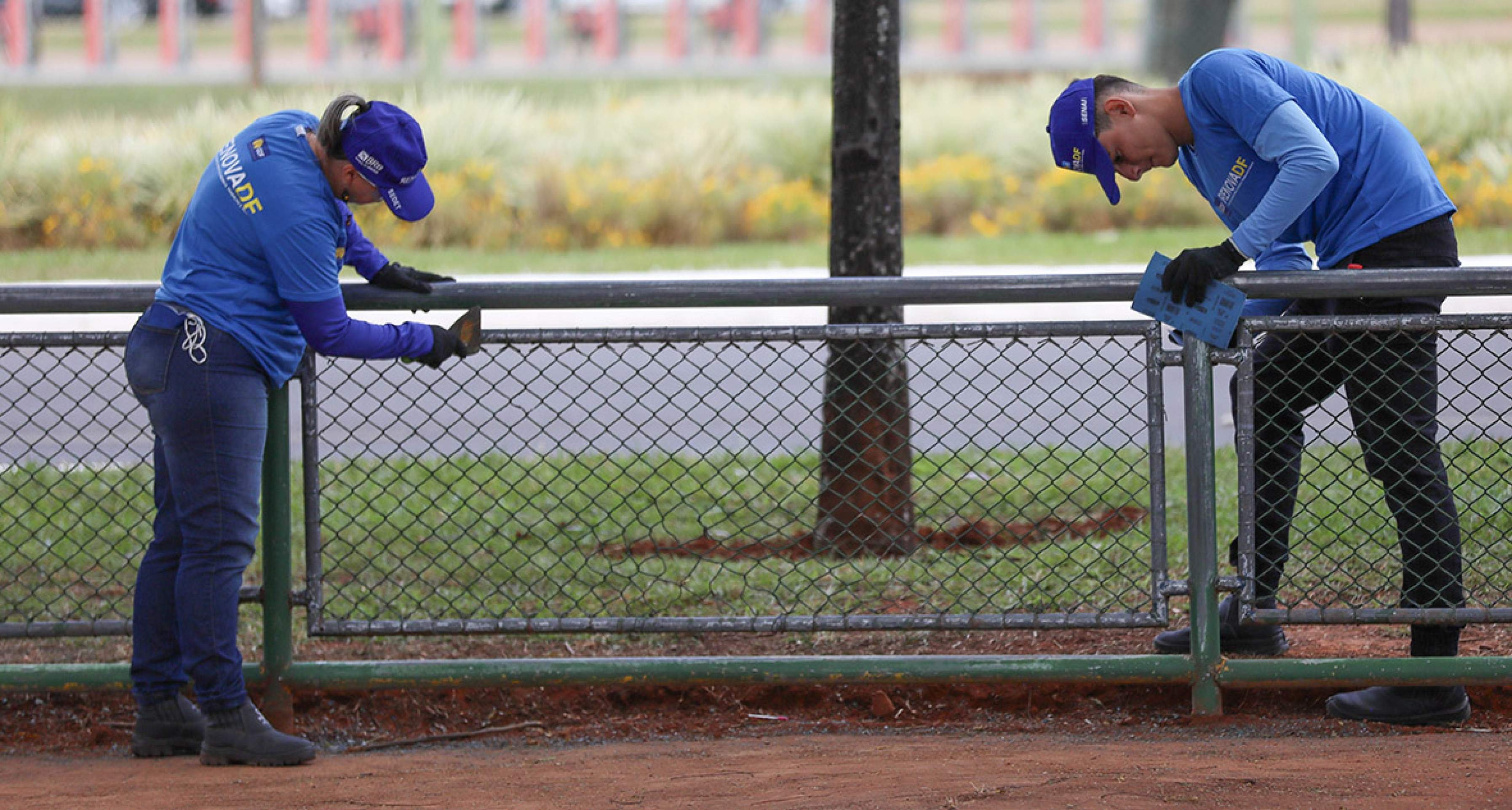 Renova/DF: Confira  a lista de aprovados na segunda chamada 