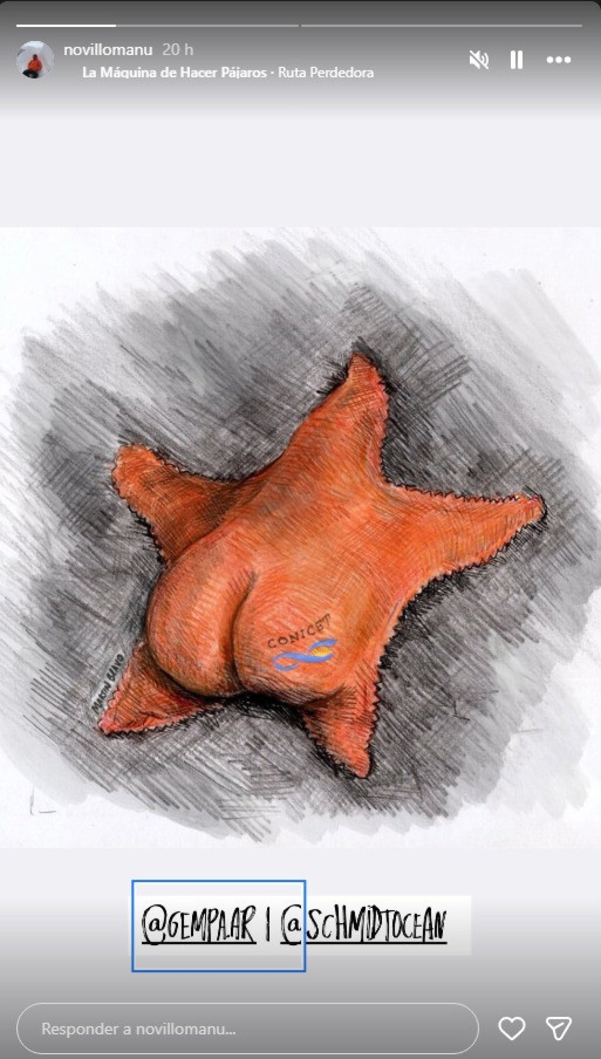 Cientista fez desenho em homenagem ao Patrick-Estrela da vida real 