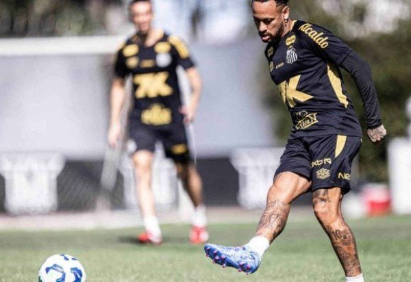 Foto: Raul Baretta/ Santos FC