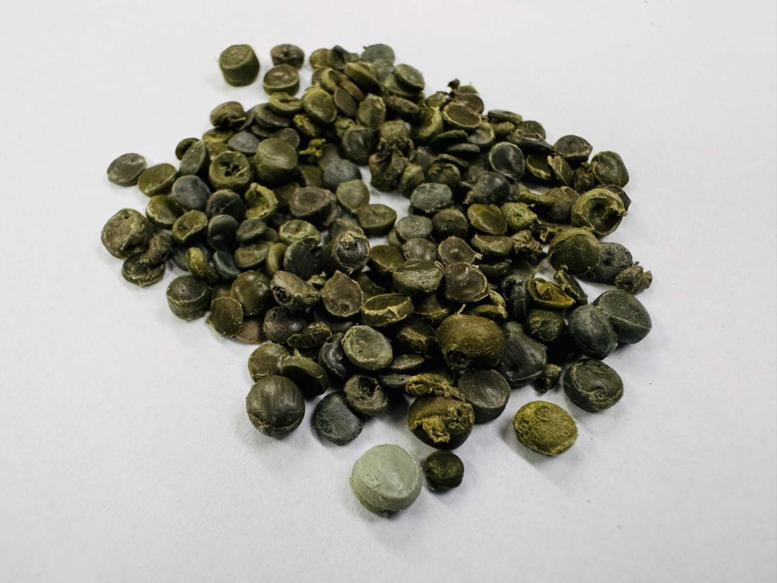 O plástico reciclado é triturado antes de ser misturado ao asfalto.