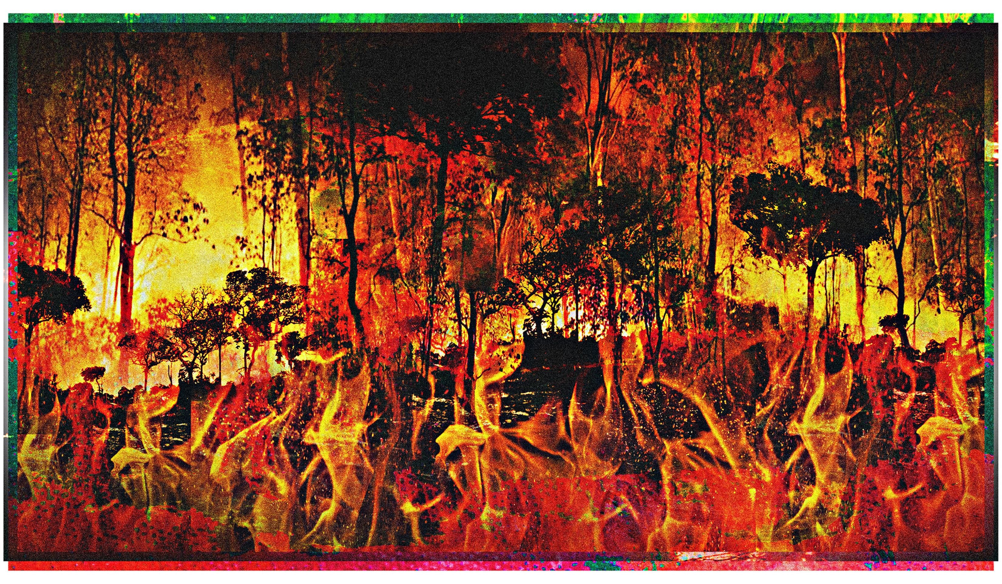 Política de manejo do fogo: resposta à altura dos incêndios de 2024?