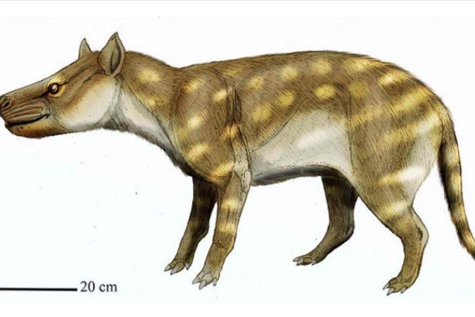 Dissacus
praenuntius era
como coiote e passou
a triturar os ossos
dos animais, e
não apenas
a carne
- (crédito: Escola de Artes e Ciências) Dissacus
praenuntius era
como coiote e passou
a triturar os ossos
dos animais, e
não apenas
a carne
- (crédito: Escola de Artes e Ciências)