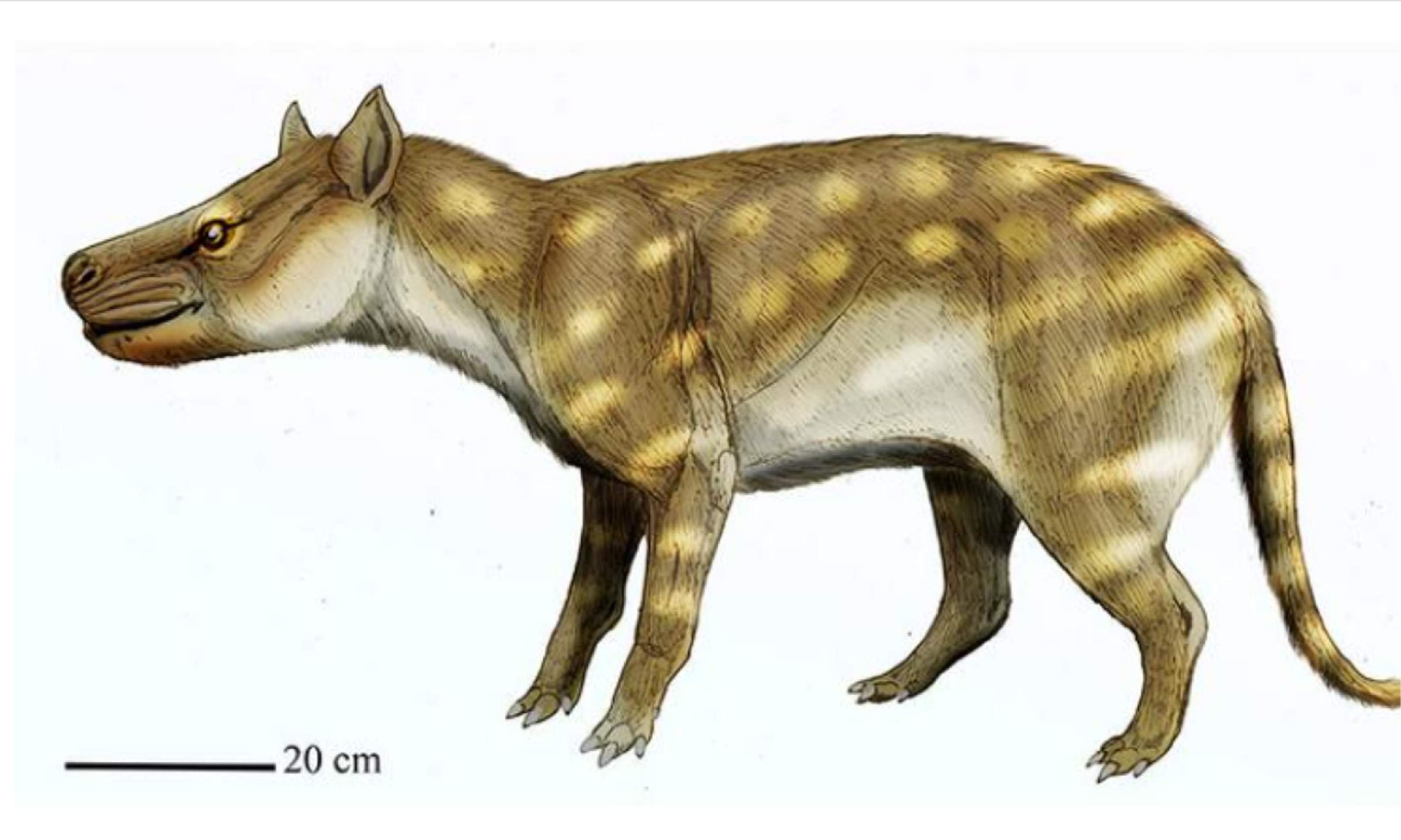 Temperaturas altas afetam dieta de animais