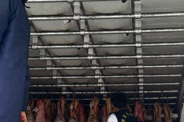  Os produtos foram recolhidos na BR-060 e em Taguatinga -  (crédito: Silvino Nogueira)