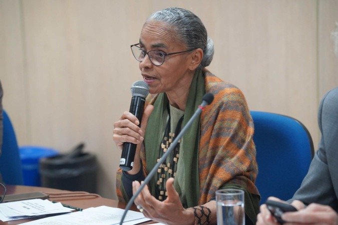 Ministra Marina Silva, do Meio Ambiente e Mudança do Clima -  (crédito: Rogério Cassimiro/MMA)