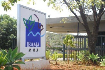 A remuneração é de R$ 9.994,60, para as duas funções -  (crédito: Divulgação/Governo federal)