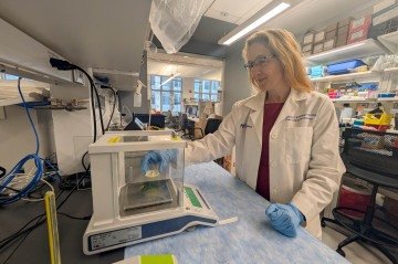 Stephanie Eisenbarth, coautora do estudo, investiga alergias alimentares na Universidade de Northwestern: mistério solucionado em pesquisa com animais 
 -  (crédito: Northwestern University/Divulgação )