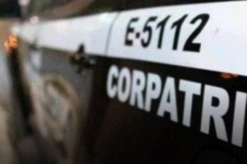 Operação Cavalo Doido identificou 10 suspeitos e recuperou dois carros em chácara no Sol Nascente -  (crédito: PCDF)