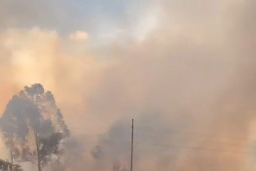 Incêndio na Flona não tem relação com queima prescrita - (crédito: Imagens cedidas) Incêndio na Flona não tem relação com queima prescrita - (crédito: Imagens cedidas)